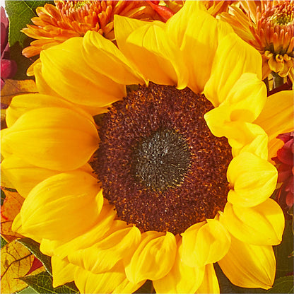Sunny Side Bouquet –  Freesia Flowers, Tomball TX