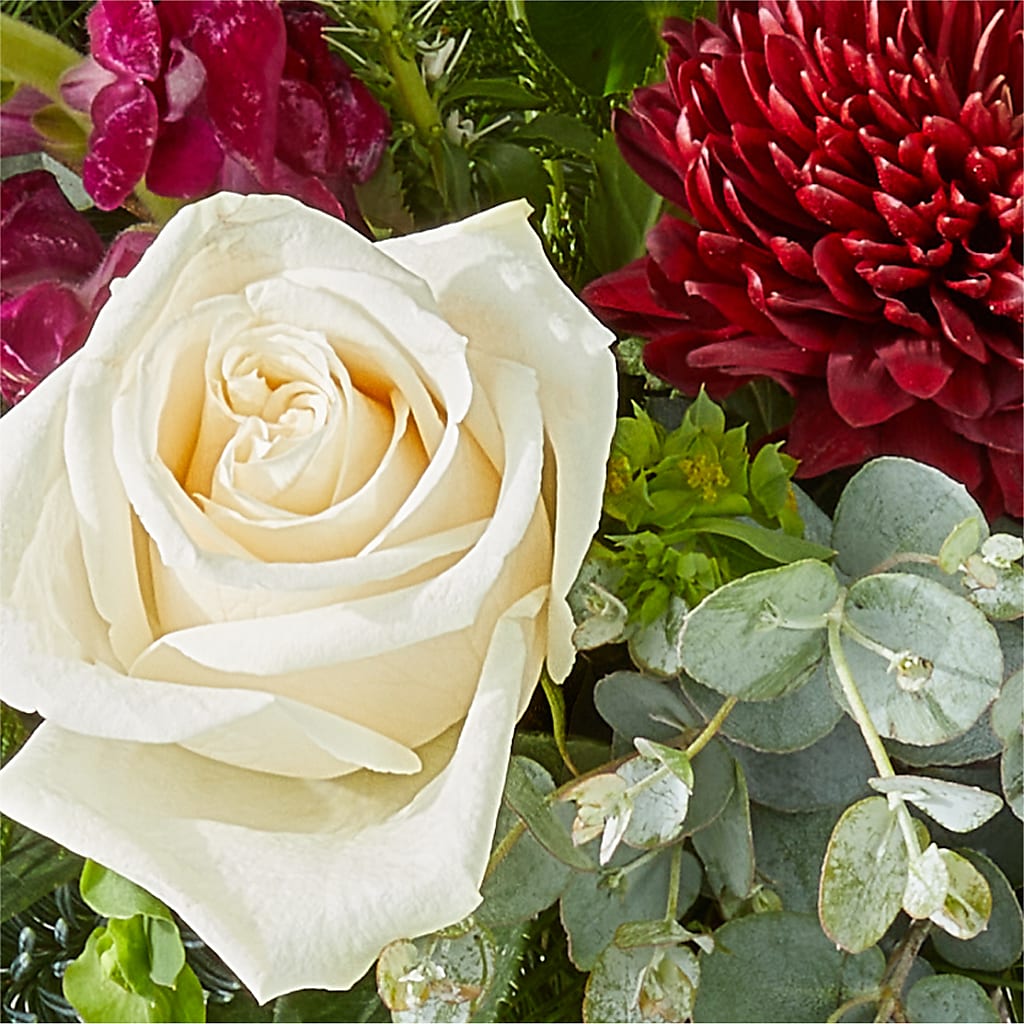 Cranberry Fizz Bouquet –  Freesia Flowers, Tomball TX