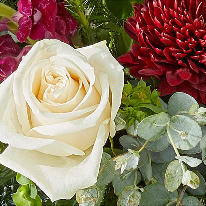 Cranberry Fizz Bouquet –  Freesia Flowers, Tomball TX