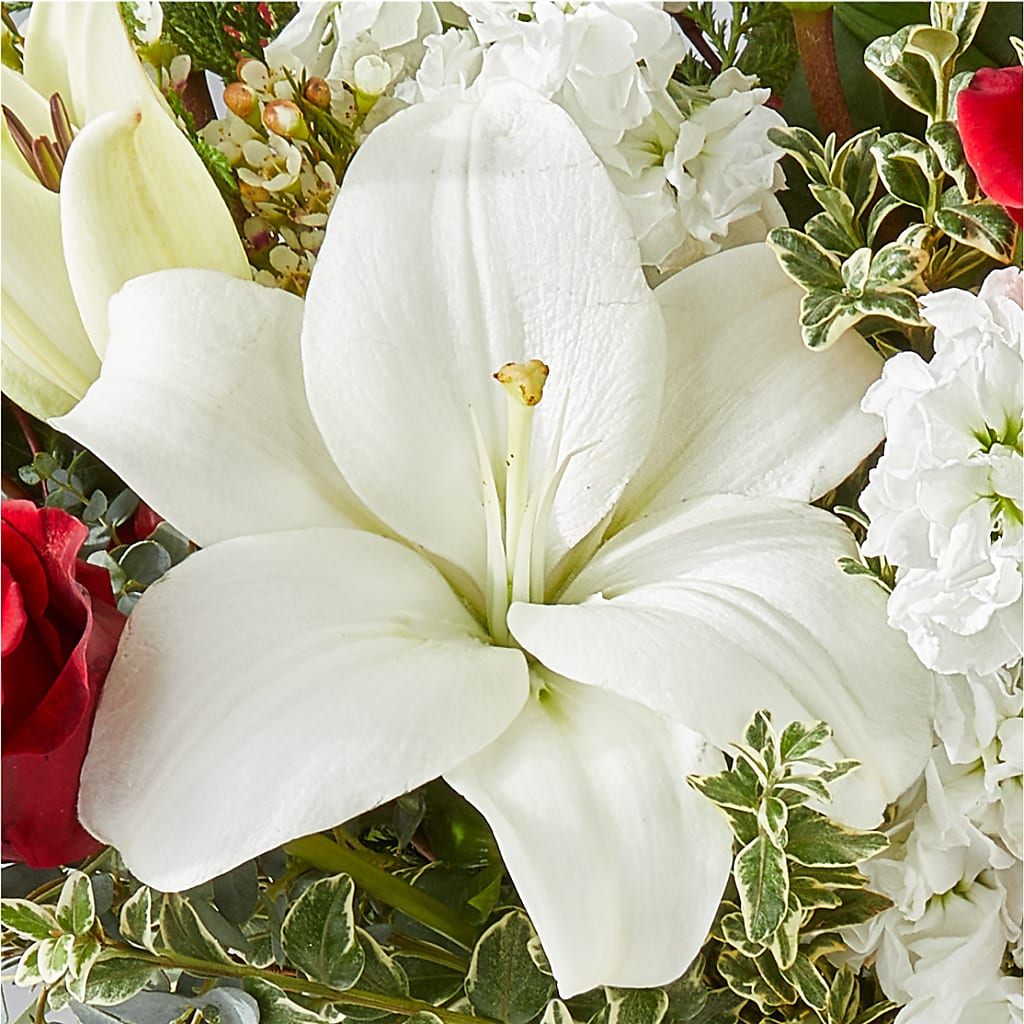 Twinkle Lights Bouquet –  Freesia Flowers, Tomball TX
