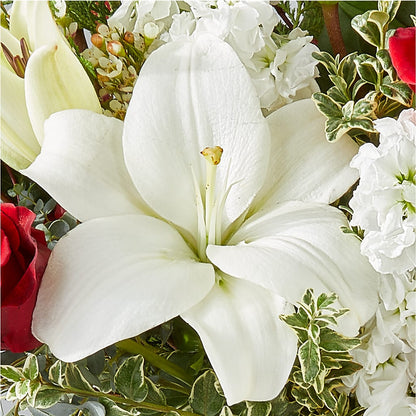 Twinkle Lights Bouquet –  Freesia Flowers, Tomball TX