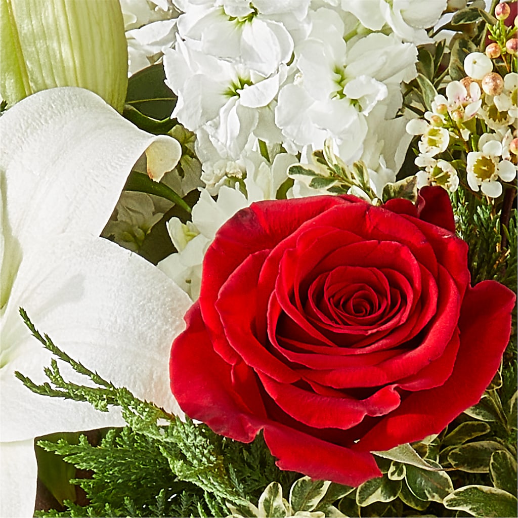 Twinkle Lights Bouquet –  Freesia Flowers, Tomball TX