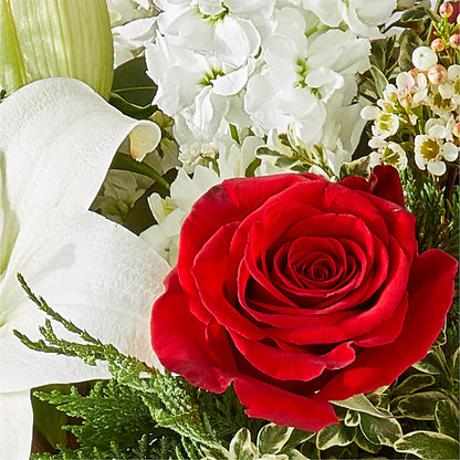 Twinkle Lights Bouquet –  Freesia Flowers, Tomball TX