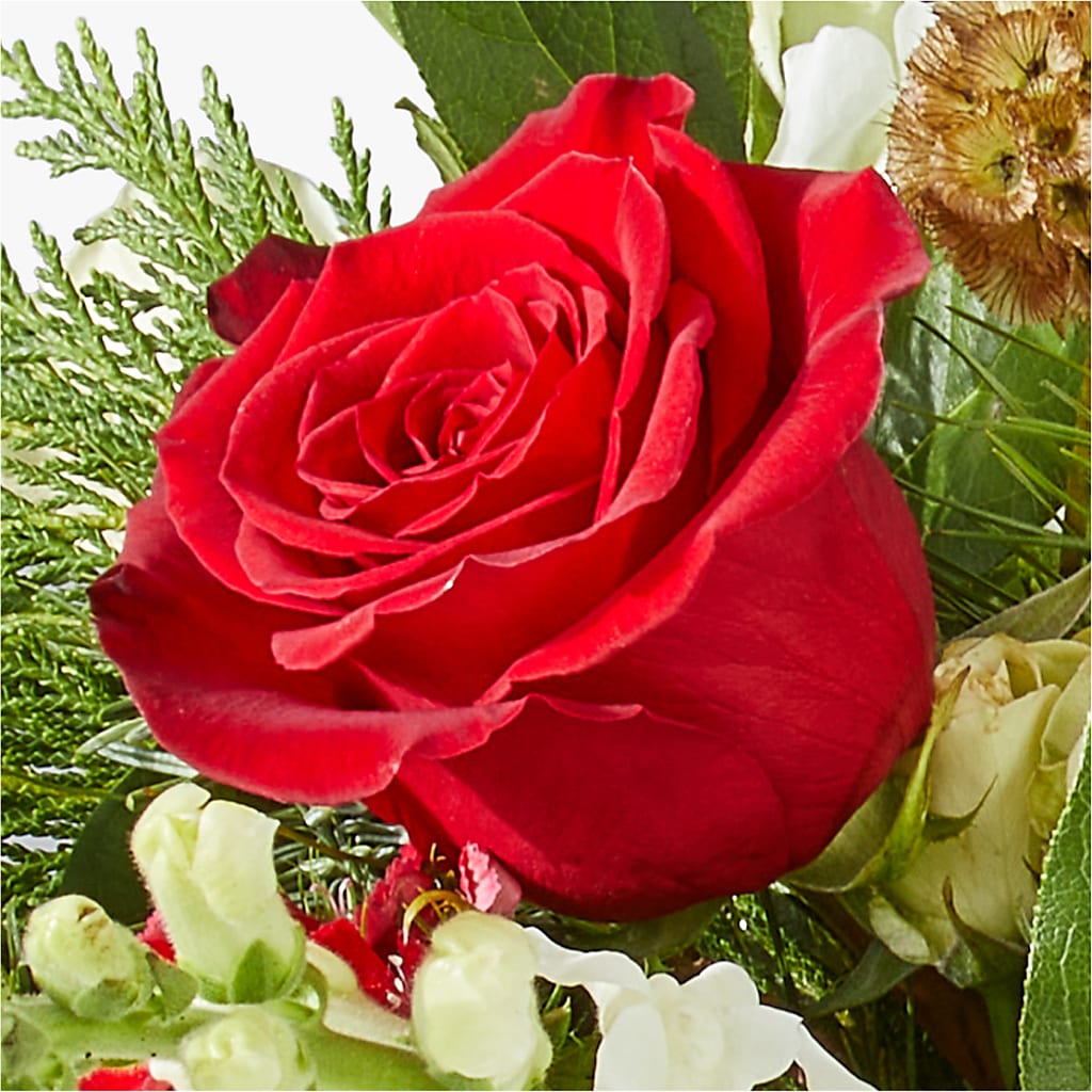 Deck the Halls Bouquet –  Freesia Flowers, Tomball TX