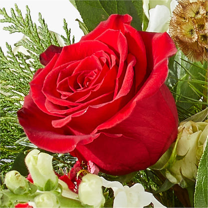 Deck the Halls Bouquet –  Freesia Flowers, Tomball TX