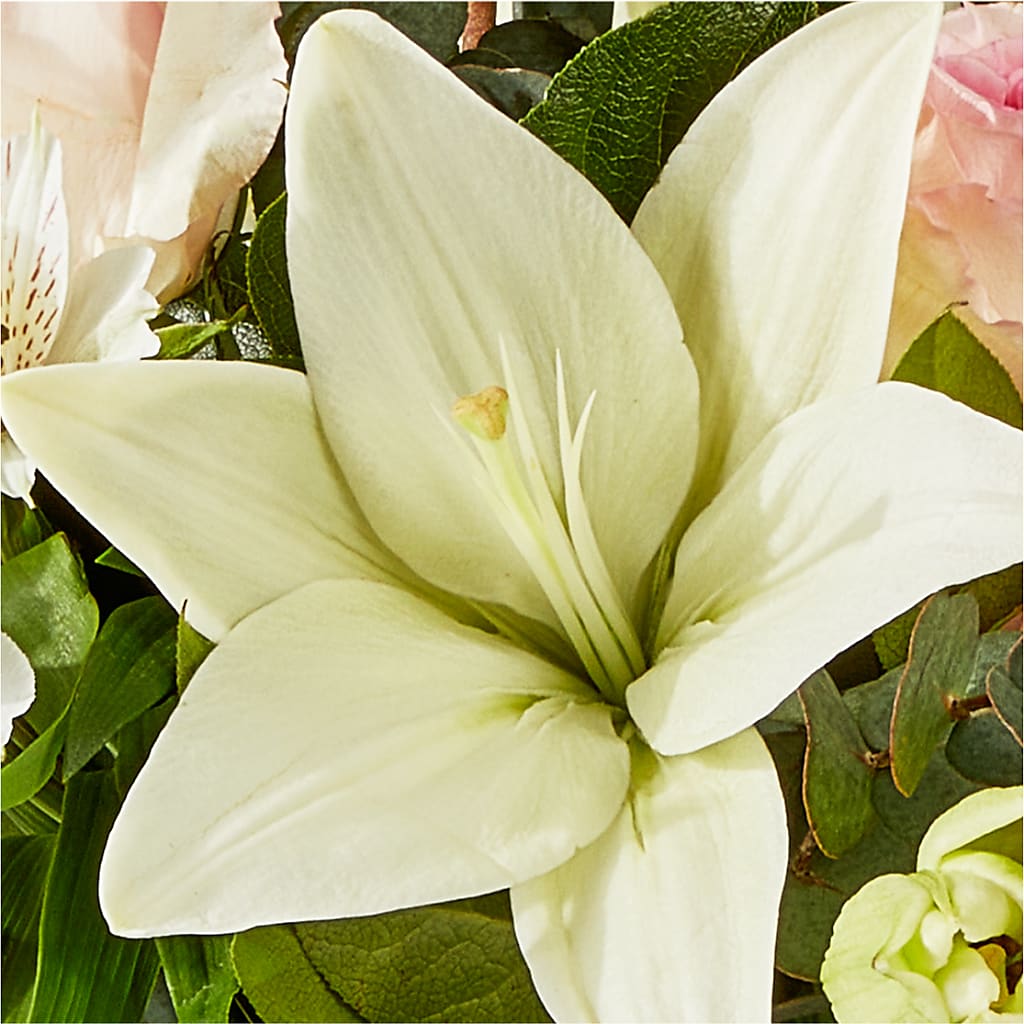 Ballet Slippers Bouquet –  Freesia Flowers, Tomball TX