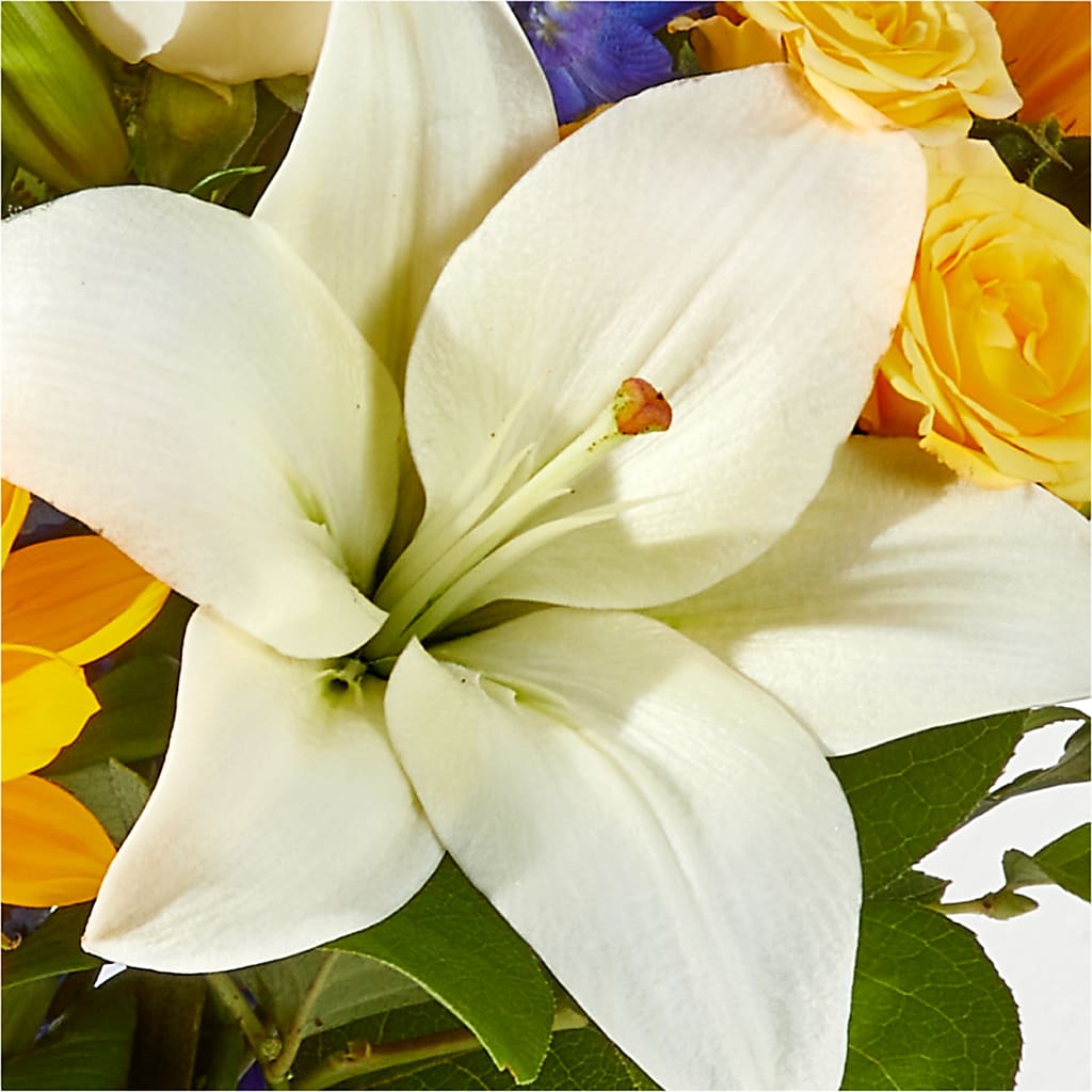 Wonderfully Sunny Bouquet –  Freesia Flowers, Tomball TX