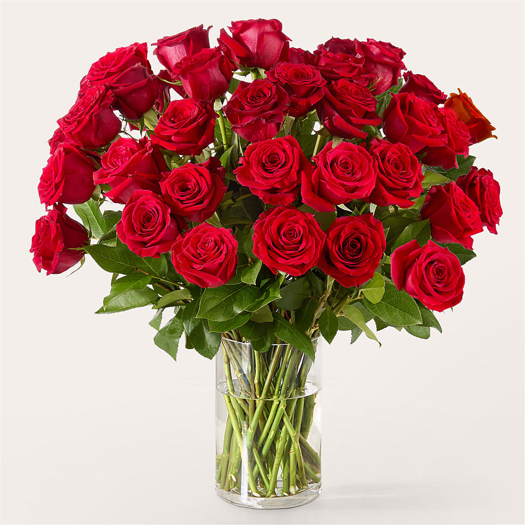 The One Red Rose Bouquet –  Freesia Flowers, Tomball TX
