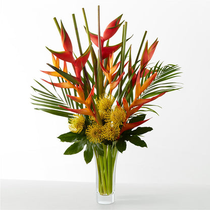 The Drama –  Freesia Flowers, Tomball TX