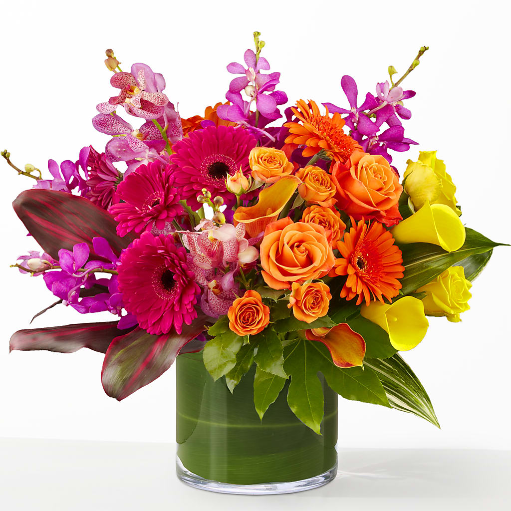 The Mosaic –  Freesia Flowers, Tomball TX