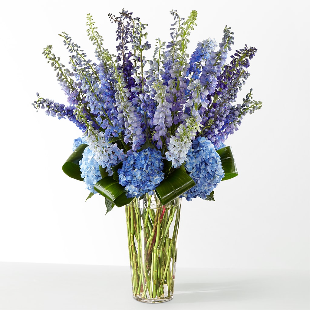 The Editorial –  Freesia Flowers, Tomball TX