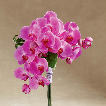 Glorious Bouquet –  Freesia Flowers, Tomball TX