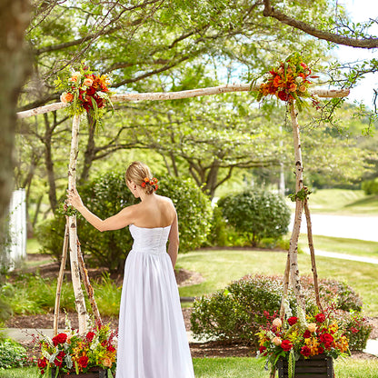 Arbor of Love Archway –  Freesia Flowers, Tomball TX