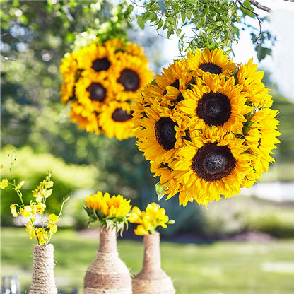 Sublime Garden Hanging Arrangement –  Freesia Flowers, Tomball TX