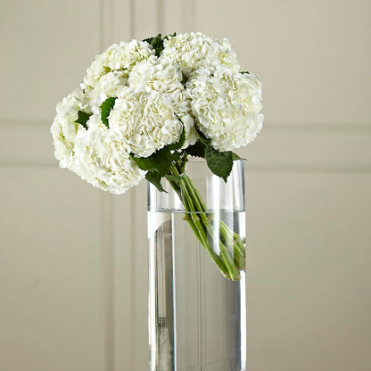 White Hydrangea Hand-Tied Bouquet –  Freesia Flowers, Tomball TX