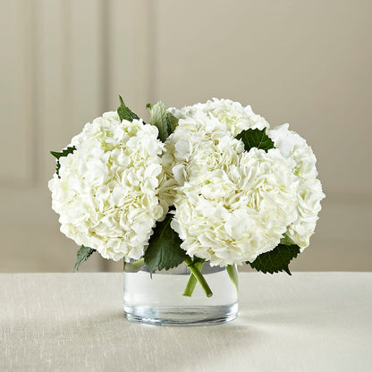 White Hydrangea Bouquet –  Freesia Flowers, Tomball TX